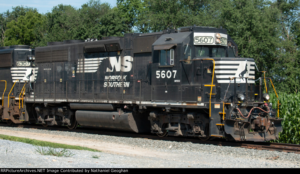 NS 5607 leading H23